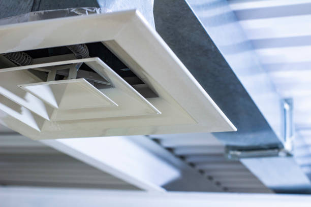Best Professional Duct Cleaning Services  in Chrisman, IL