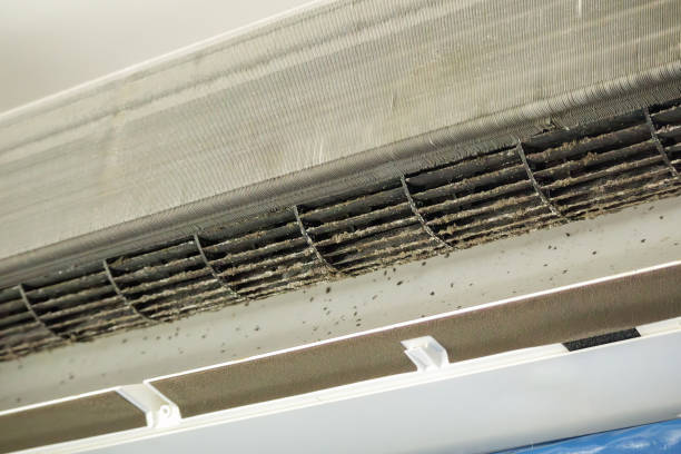 Best Home Air Vent Cleaning  in Chrisman, IL