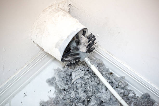 Best HVAC System Cleaning  in Chrisman, IL